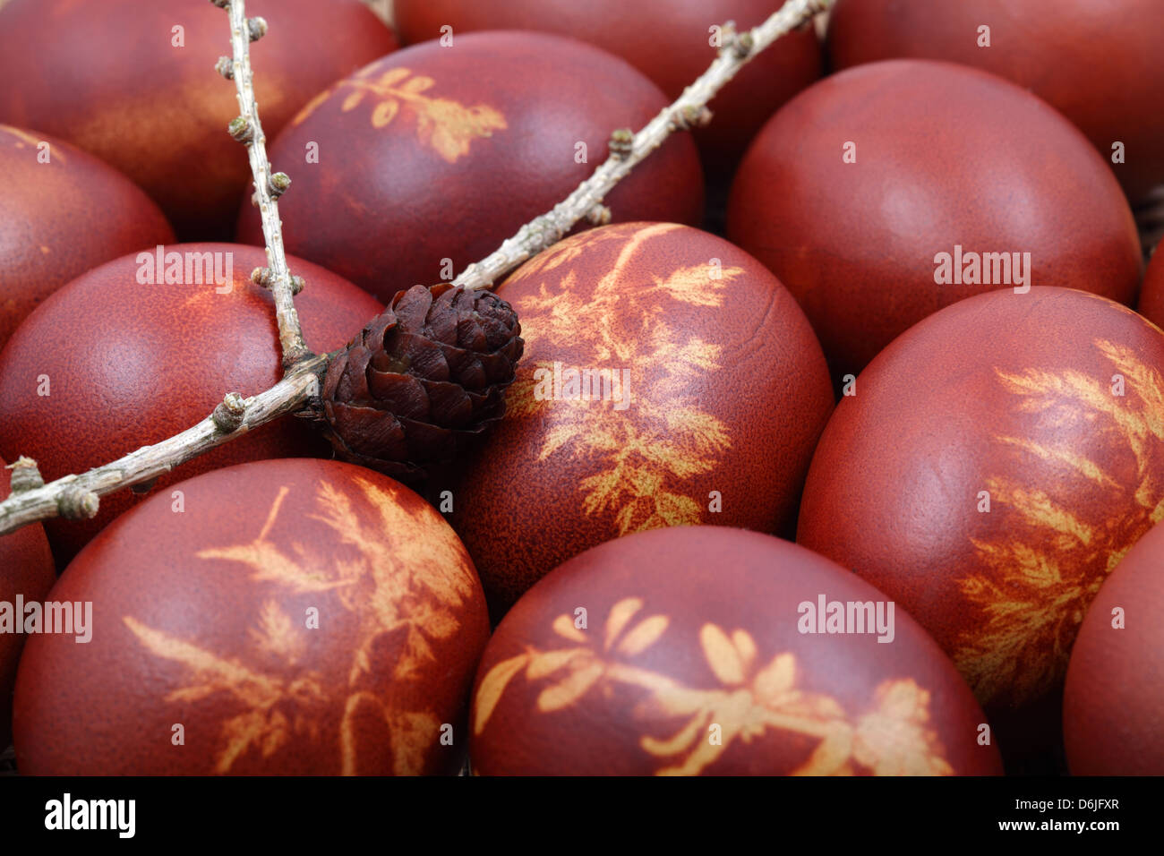 A bunch of easter eggs Stock Photo Alamy