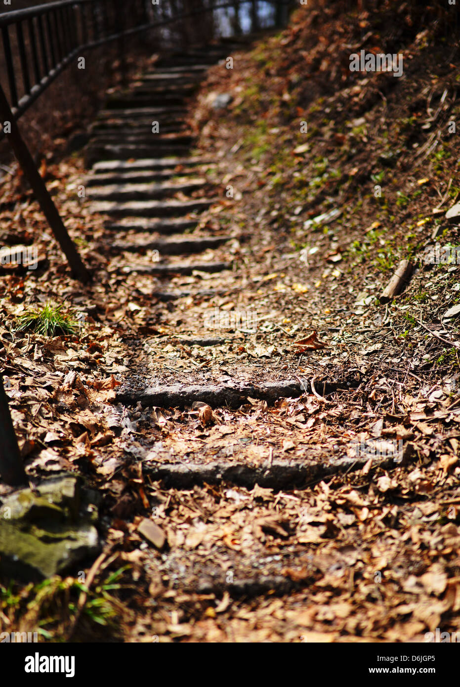 Very romantic autumn path (stairs) – growing-up, with stone steps covered with brown leaves in the forest. Stock Photo
