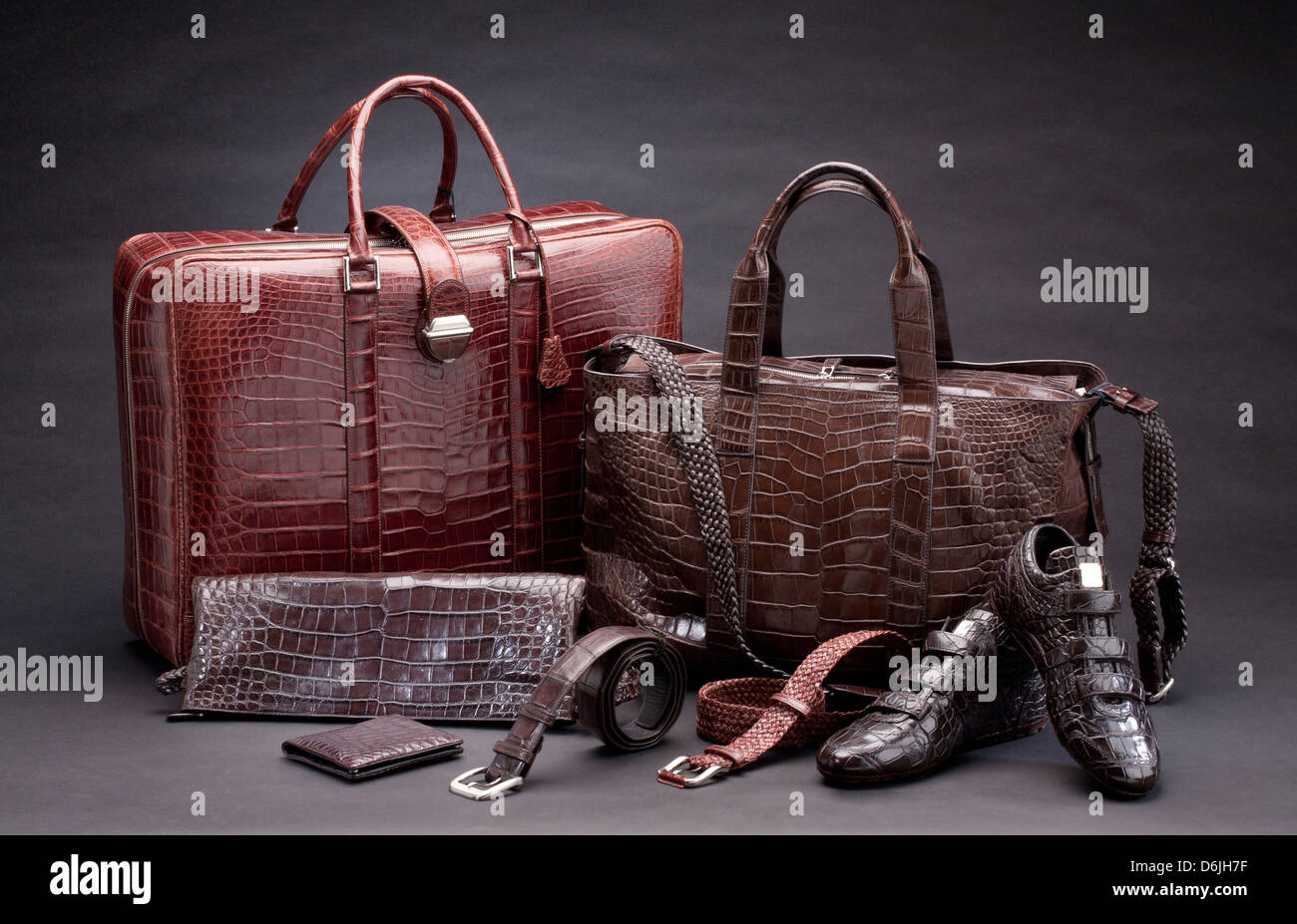 Fashion Alligator Bag and Luxury Alligator Briefcase for Men