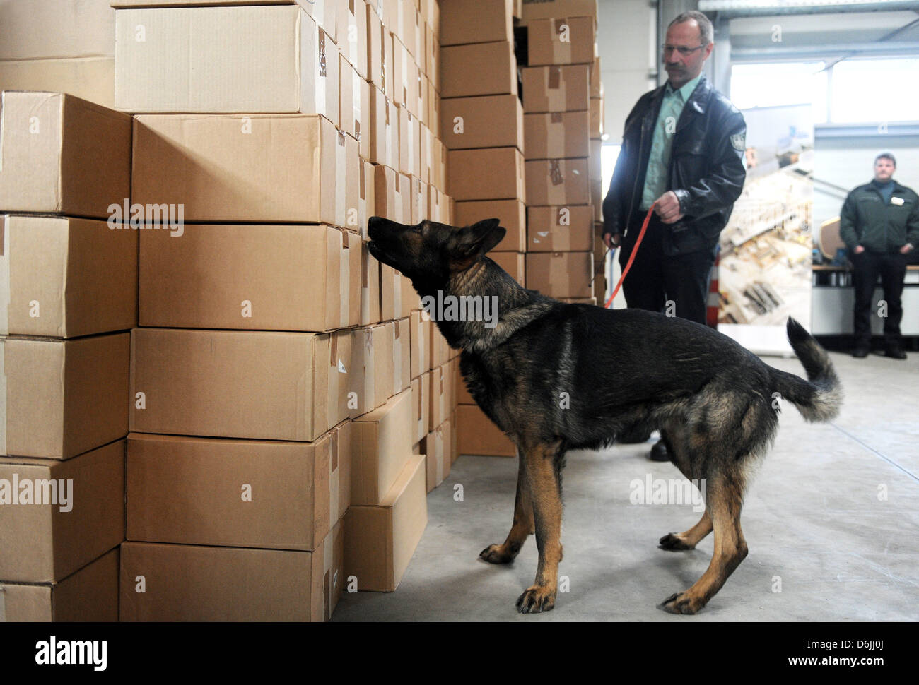 Customs dog handler Horst Dieter Traeger leads the sniffer dog "Arrico