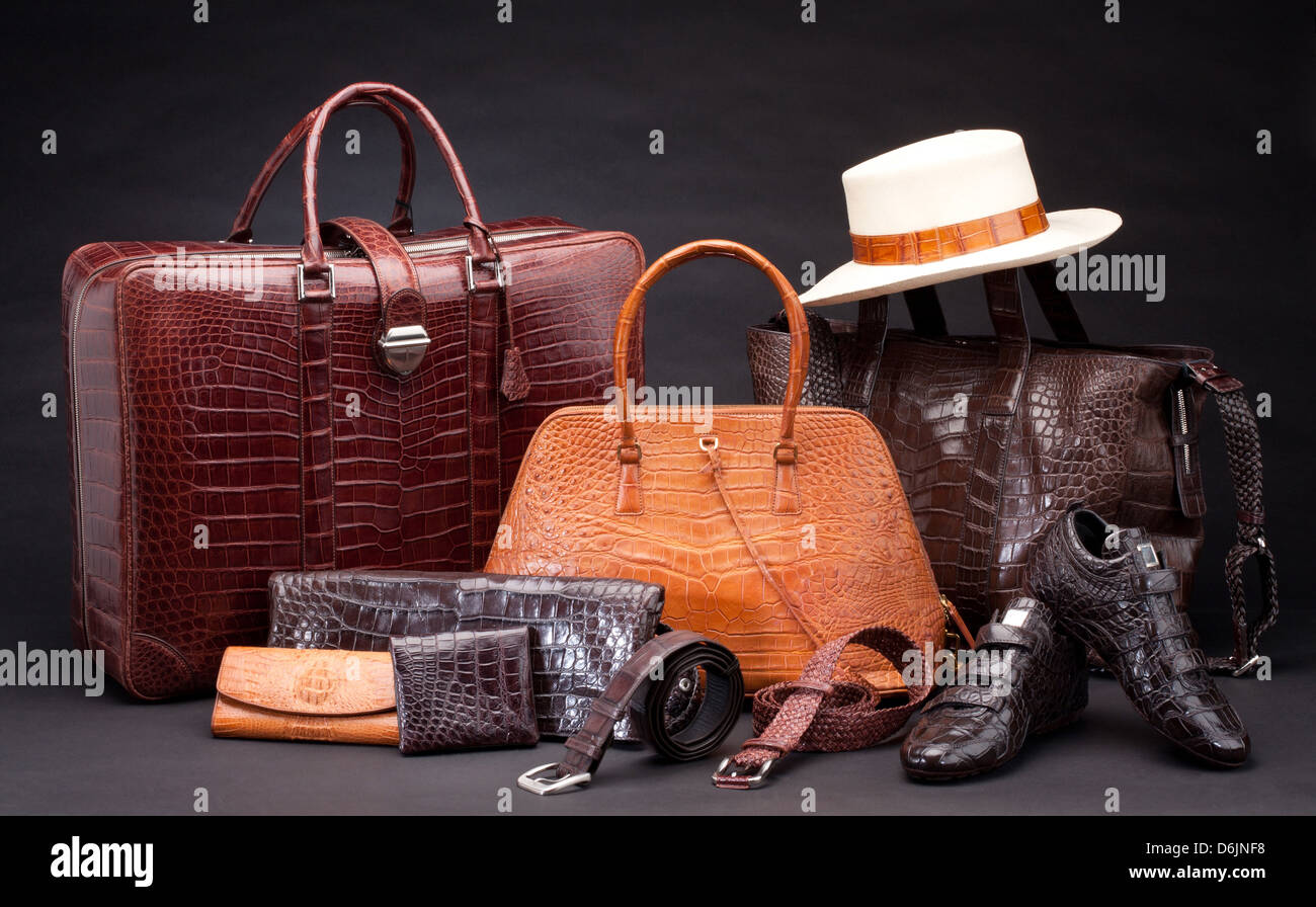 Set of fashion products which made of crocodile leather Stock Photo