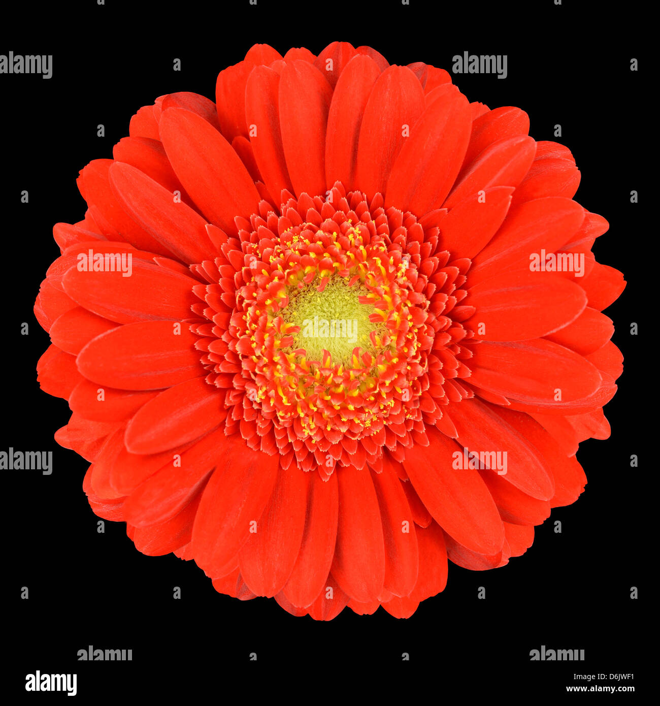 Blackbackground hi-res stock photography and images - Alamy