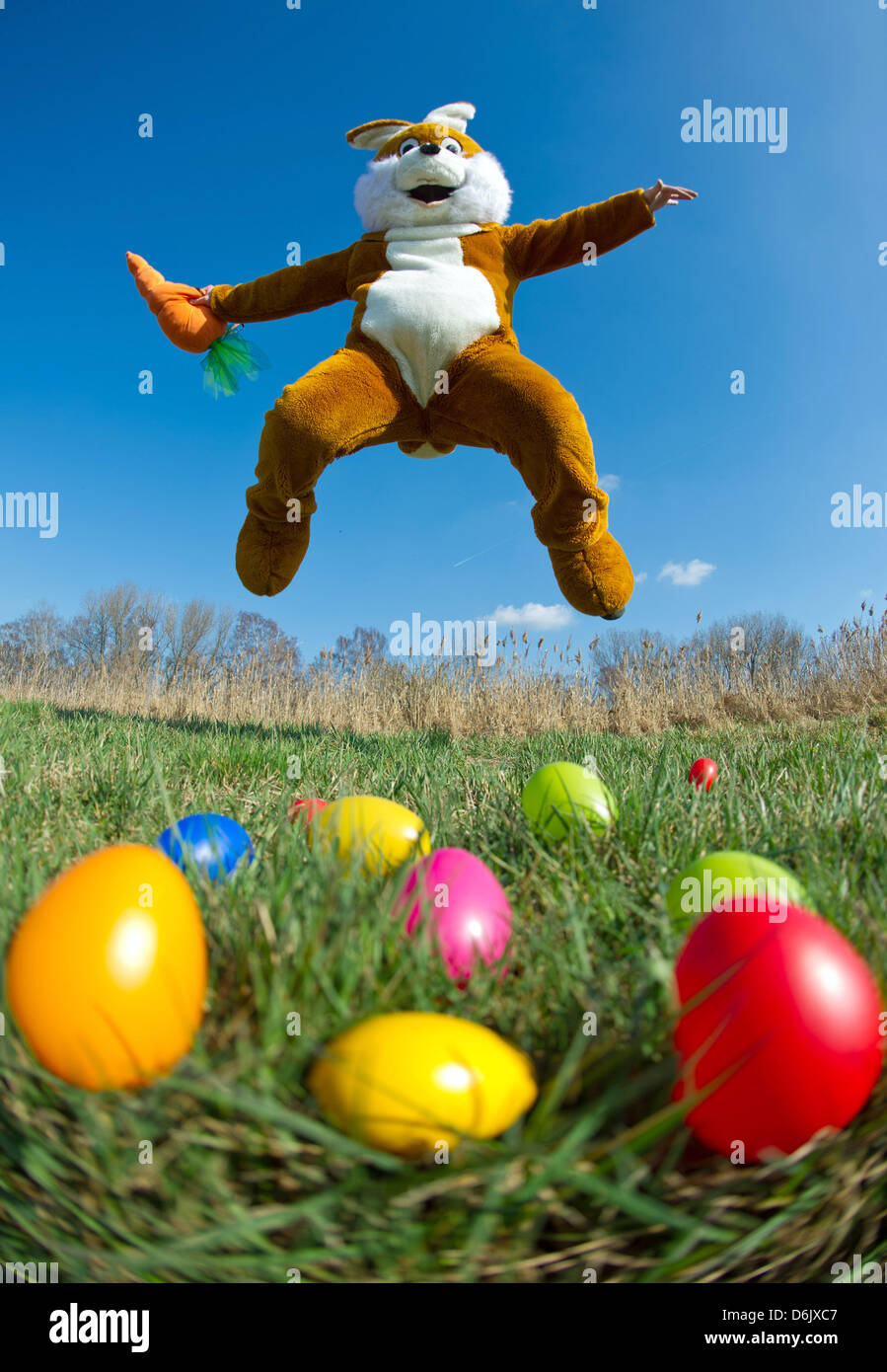 ILLUSTRATION The Easter bunny jumps into the air on a meadow full of coloured eggs in