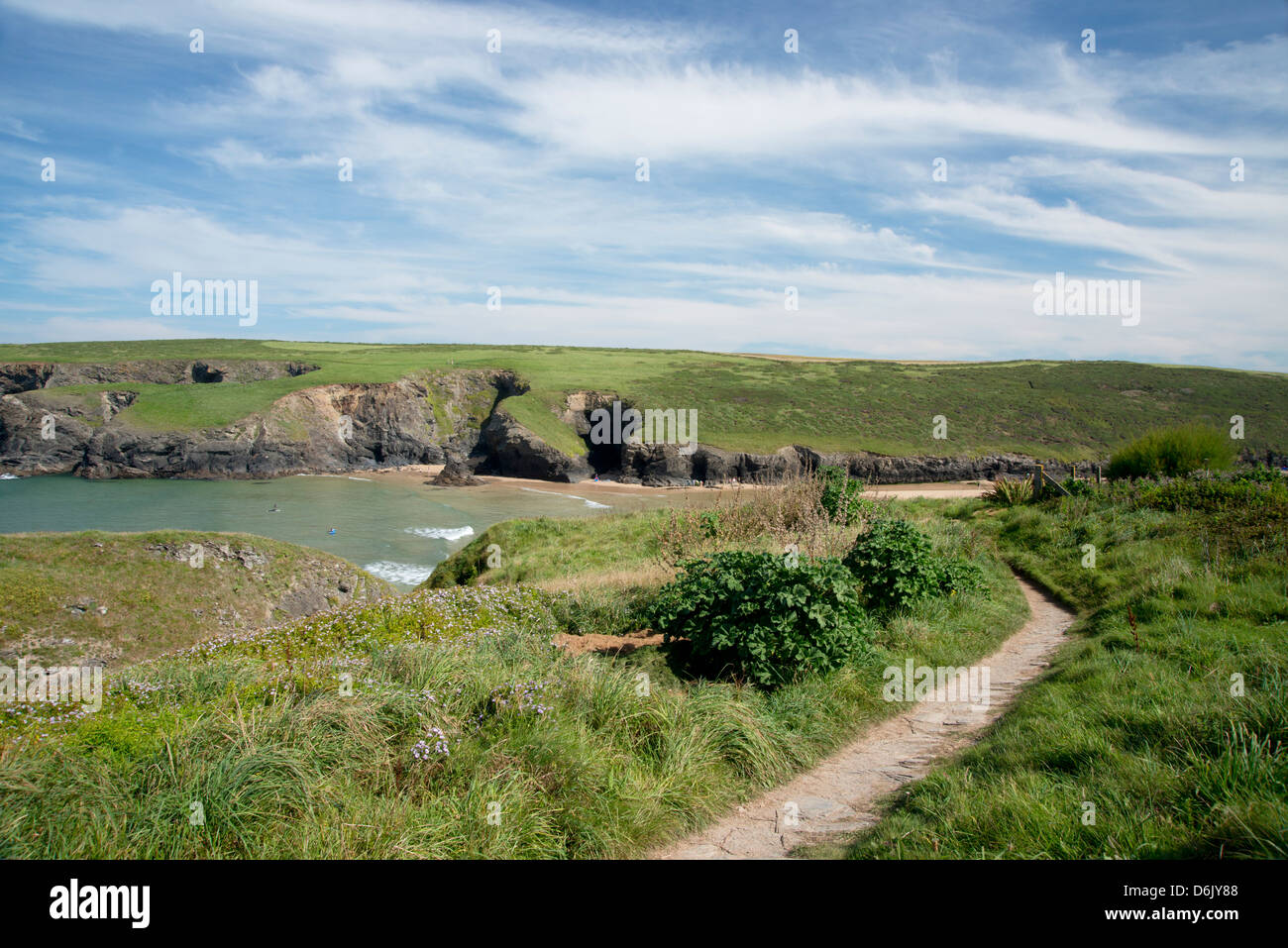 A cliff path near Porthcothan Bay, Cornwall, England, United Kingdom, Europe Stock Photo