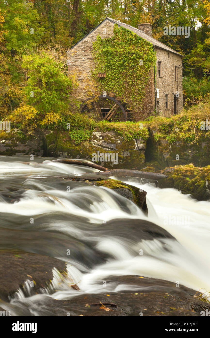 Cenarth Waterfalls, Carmarthenshire, Wales, United Kingdom, Europe Stock Photo
