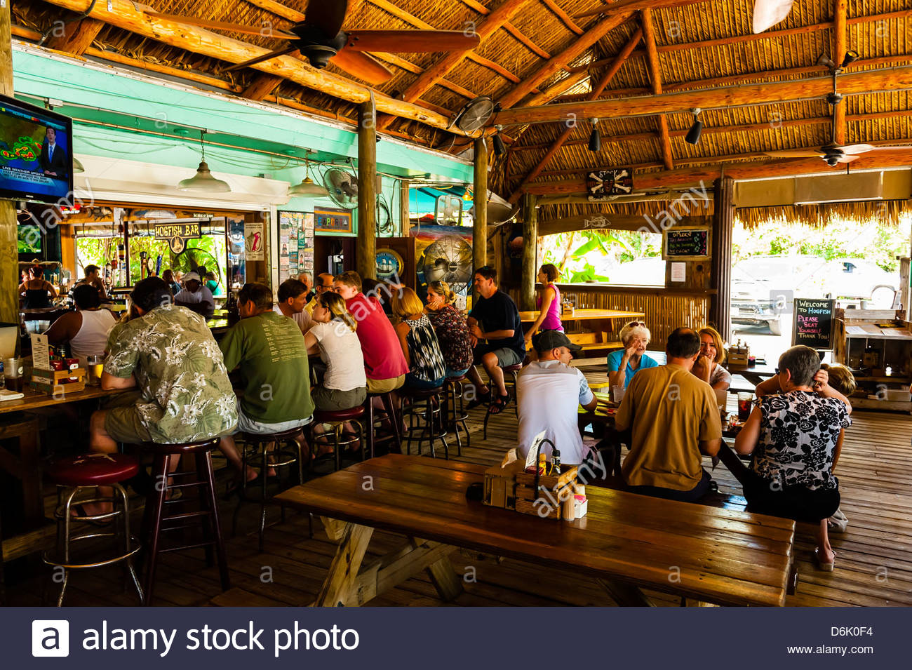 Hogfish Stock Photos & Hogfish Stock Images Alamy