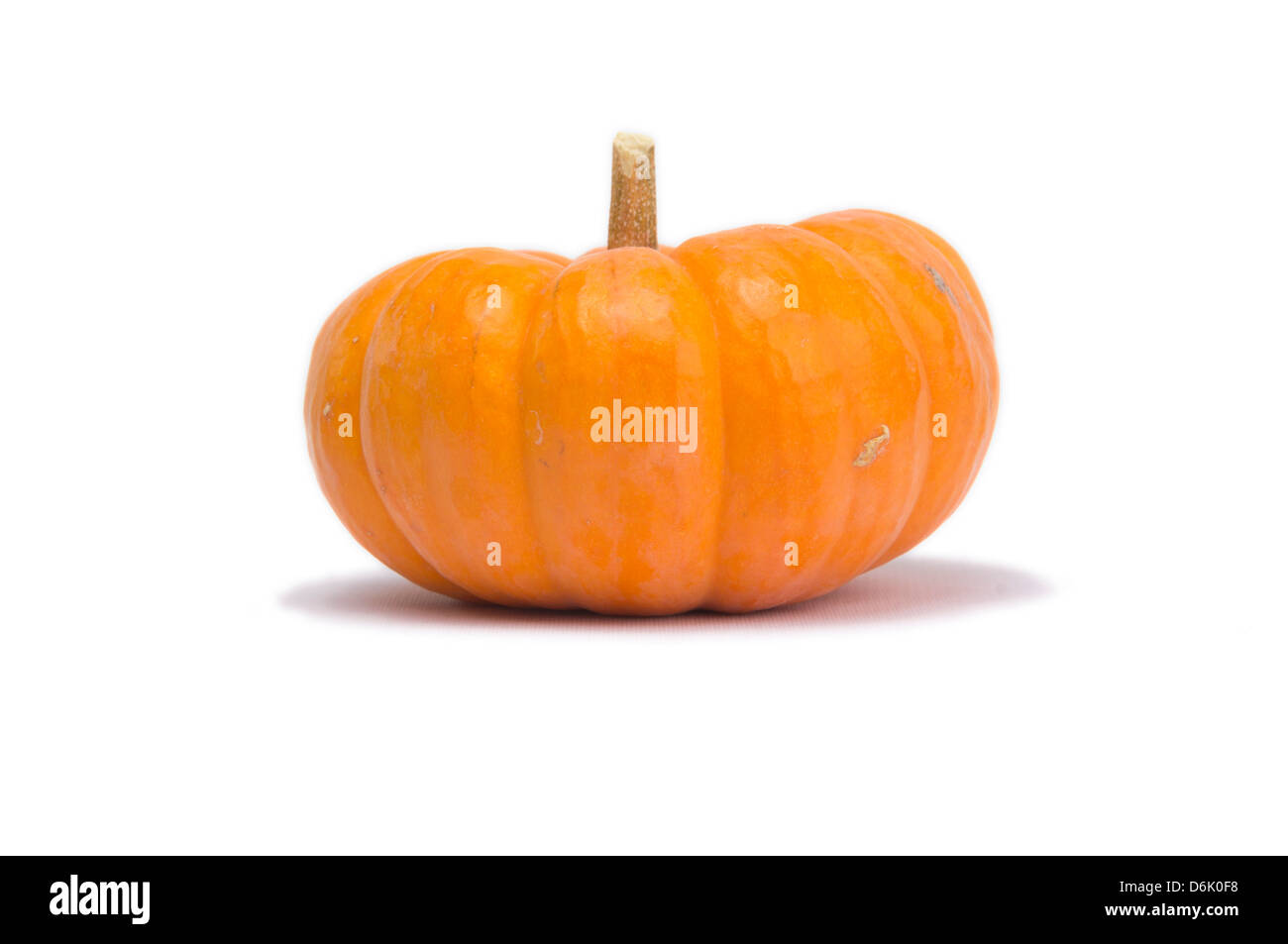 Halloween pumpkin isolated on white background with light shadow Stock Photo