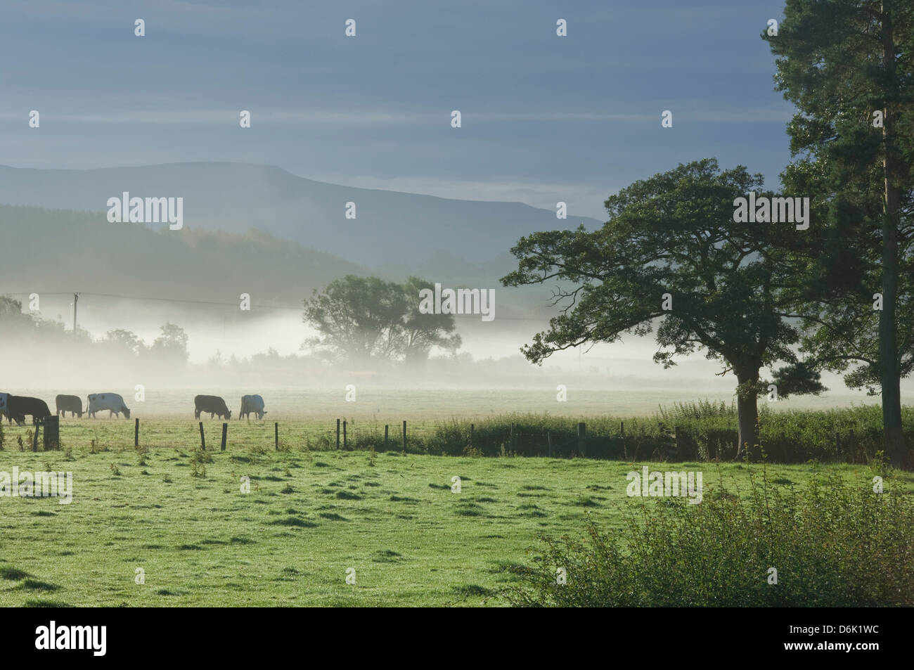 Typical rural view west of the Pennine, with Cross Fell, Eden Valley, Cumbria, England, United Kingdom, Europe Stock Photo