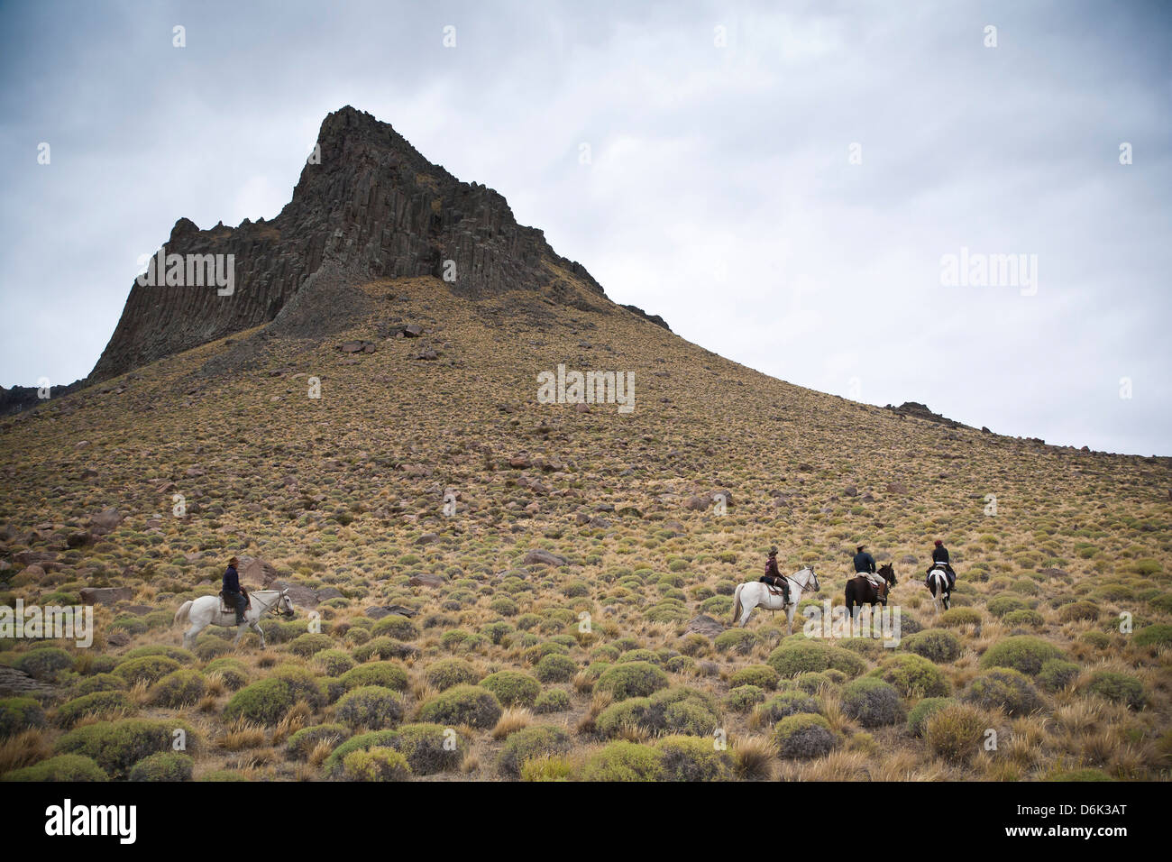 Horseback riding, Patagonia, Argentina, South America Stock Photo