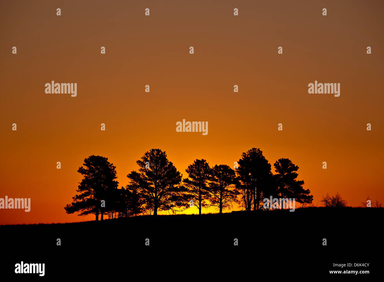 Orange sky at dawn, Custer State Park, South Dakota, United States of America, North America Stock Photo
