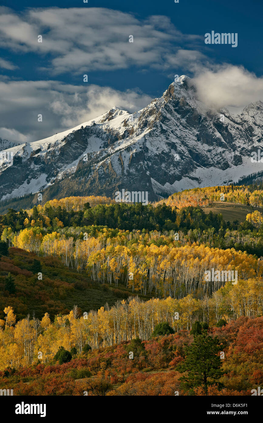 Mears Peak with snow and yellow aspens in the fall, National Forest, Colorado, USA