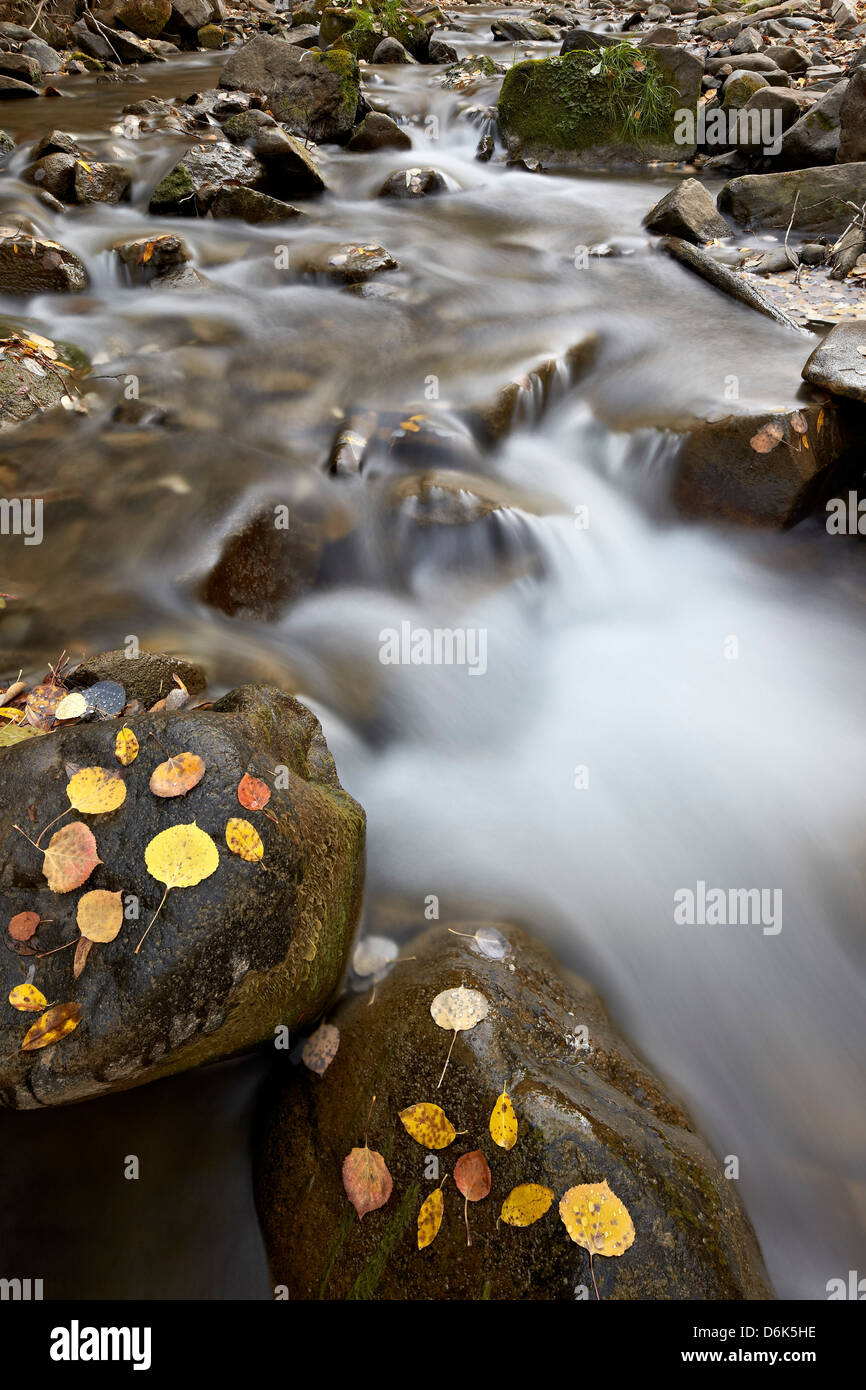 Cascades on the Big Bear Creek in the fall, San Miguel County, Colorado, United States of America, North America Stock Photo