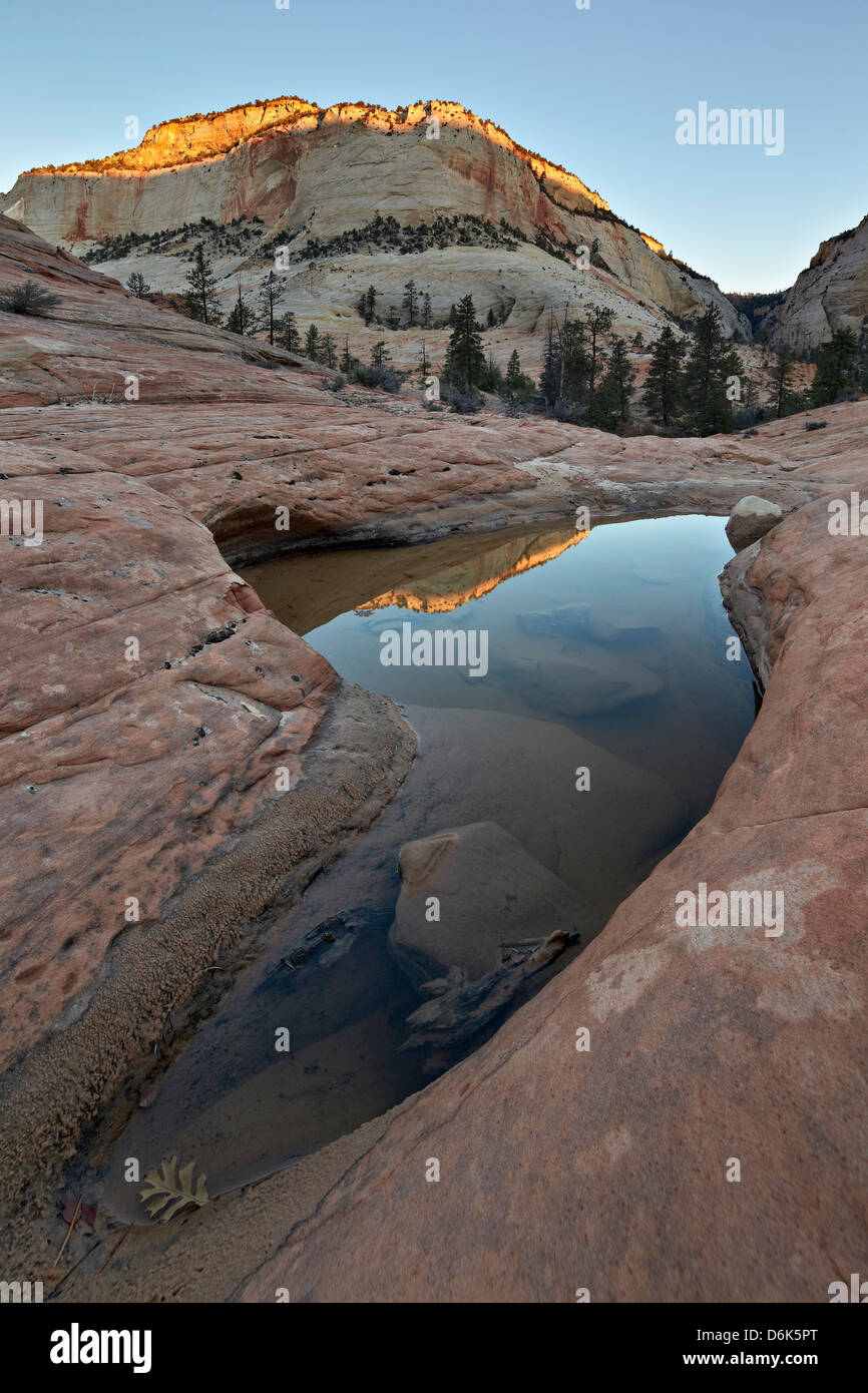 Pool in slick rock reflecting first light on a sandstone hill, Zion National Park, Utah, United States of America, North America Stock Photo