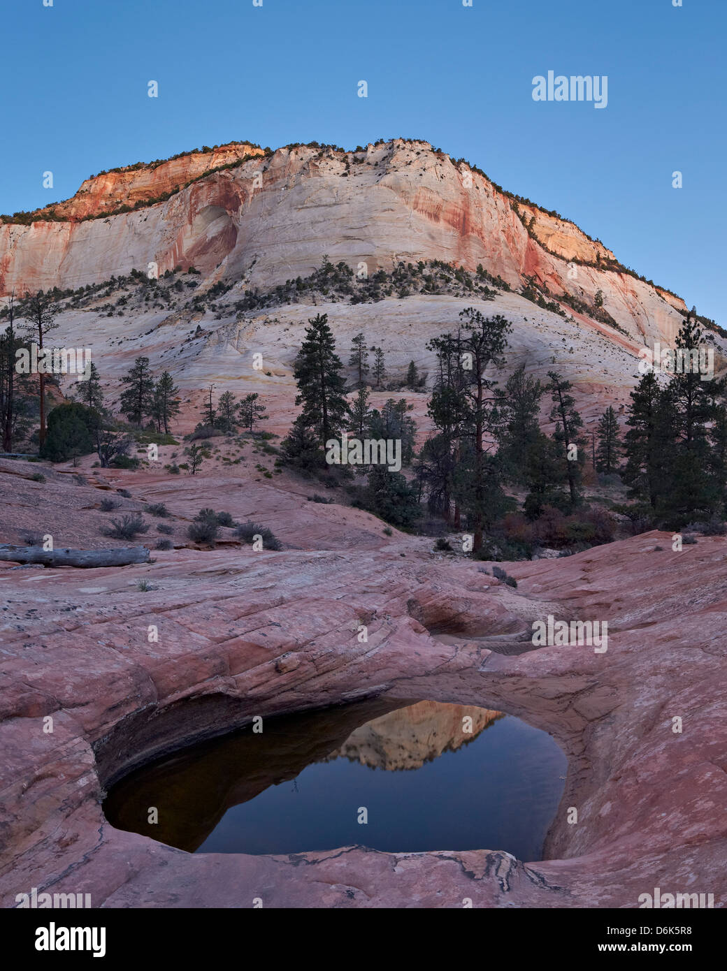 Pool in slick rock at dawn, Zion National Park, Utah, United States of America, North America Stock Photo