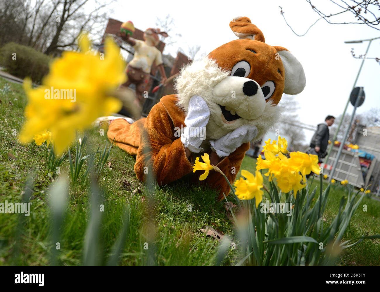 Dressed as Easter bunny a man campaigns for the  58th Britz tree blossoms festival next to the Britz gardens in Berlin, Germany, 03 April 2012. The festival is open from 04 to 22. April. Photo: Rainer Jensen Stock Photo