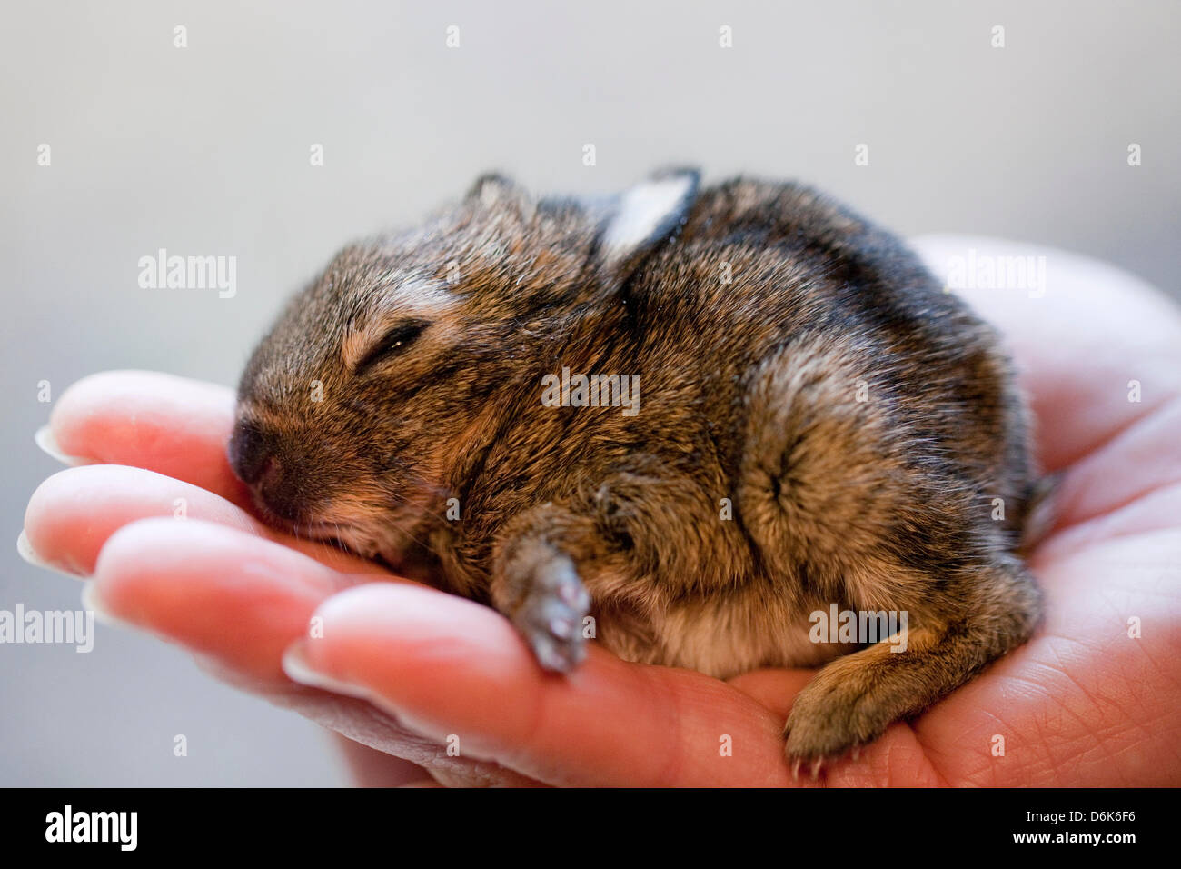 72 grams hi-res stock photography and images - Alamy