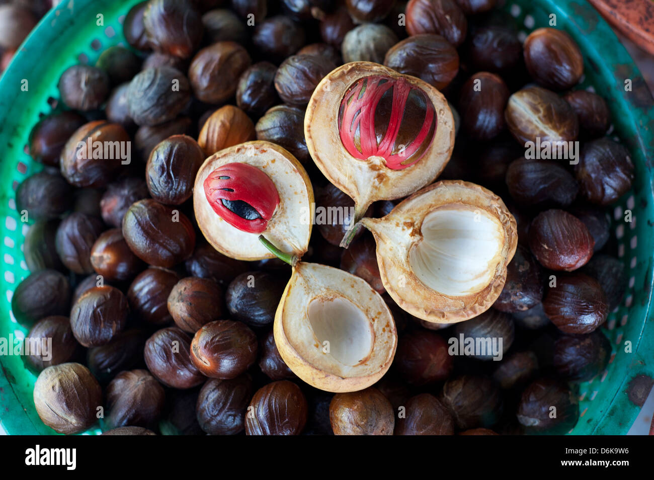 Male and female nutmegs, rind split open to reveal mace wrapped round nutmegs inside, Penang, Malaysia, Southeast Asia, Asia Stock Photo