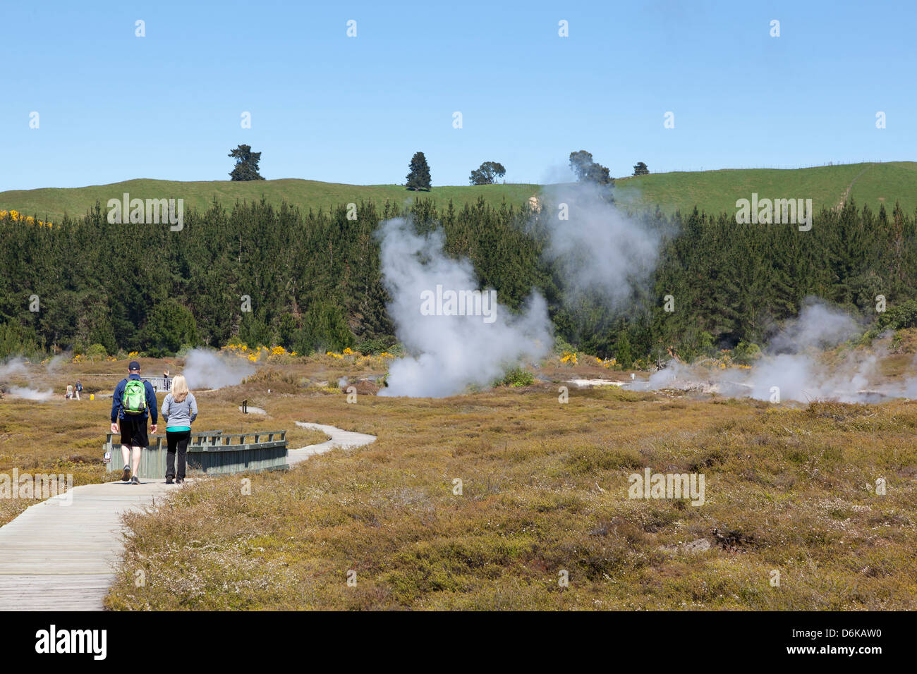 Craters of the moon, Wairakei Valley,New Zealand Stock Photo