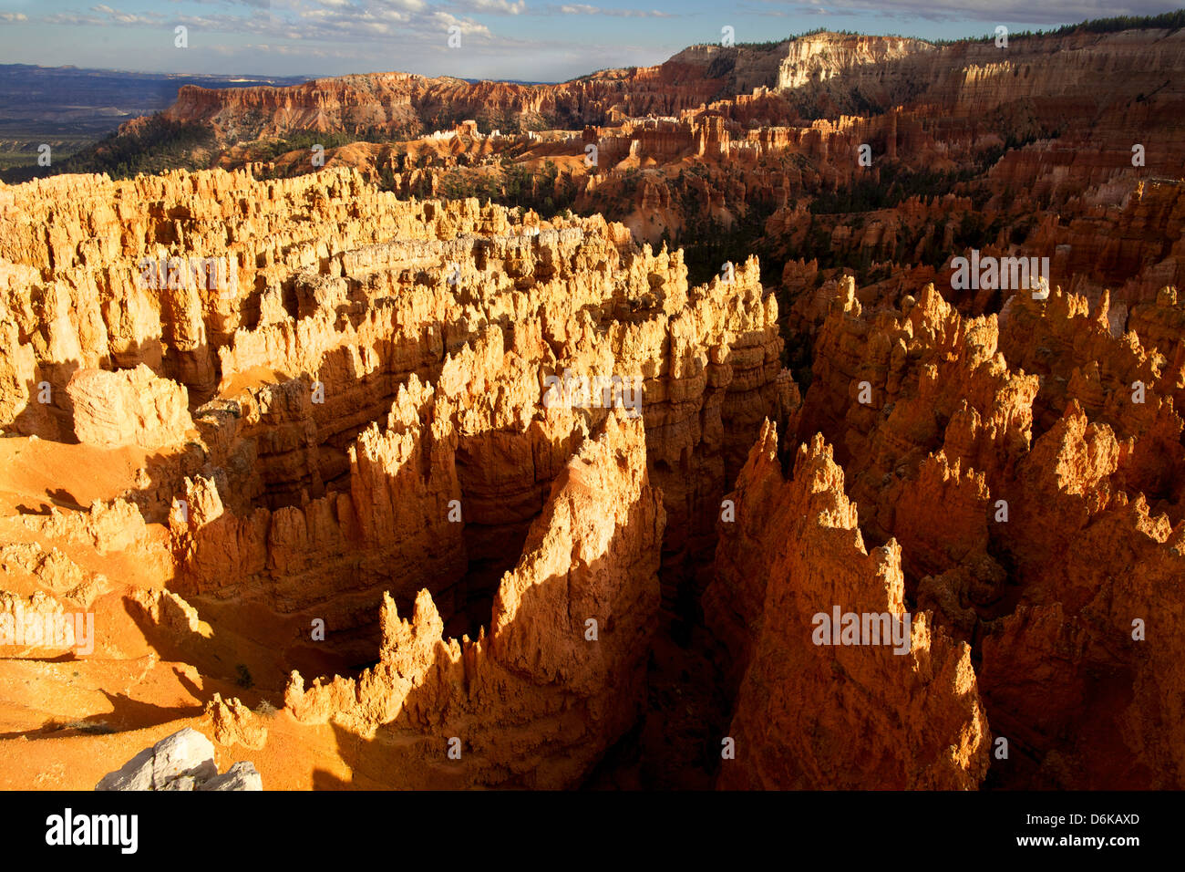 View over Bryce Canyon National Park at sunset, Utah, United States of America, North America Stock Photo
