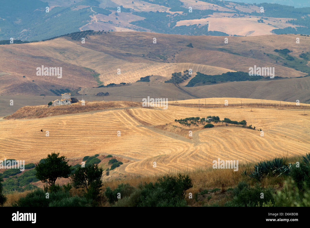 The landscape around Matera, Basilicata, Italy, Europe Stock Photo