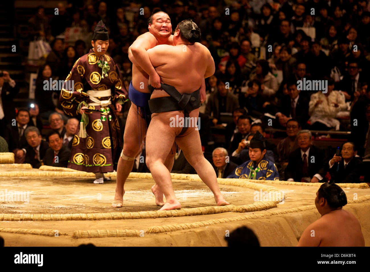 Two sumo wrestlers pushing hard to put their opponent out of the circle, sumo wrestling competition, Tokyo, Japan, Asia Stock Photo