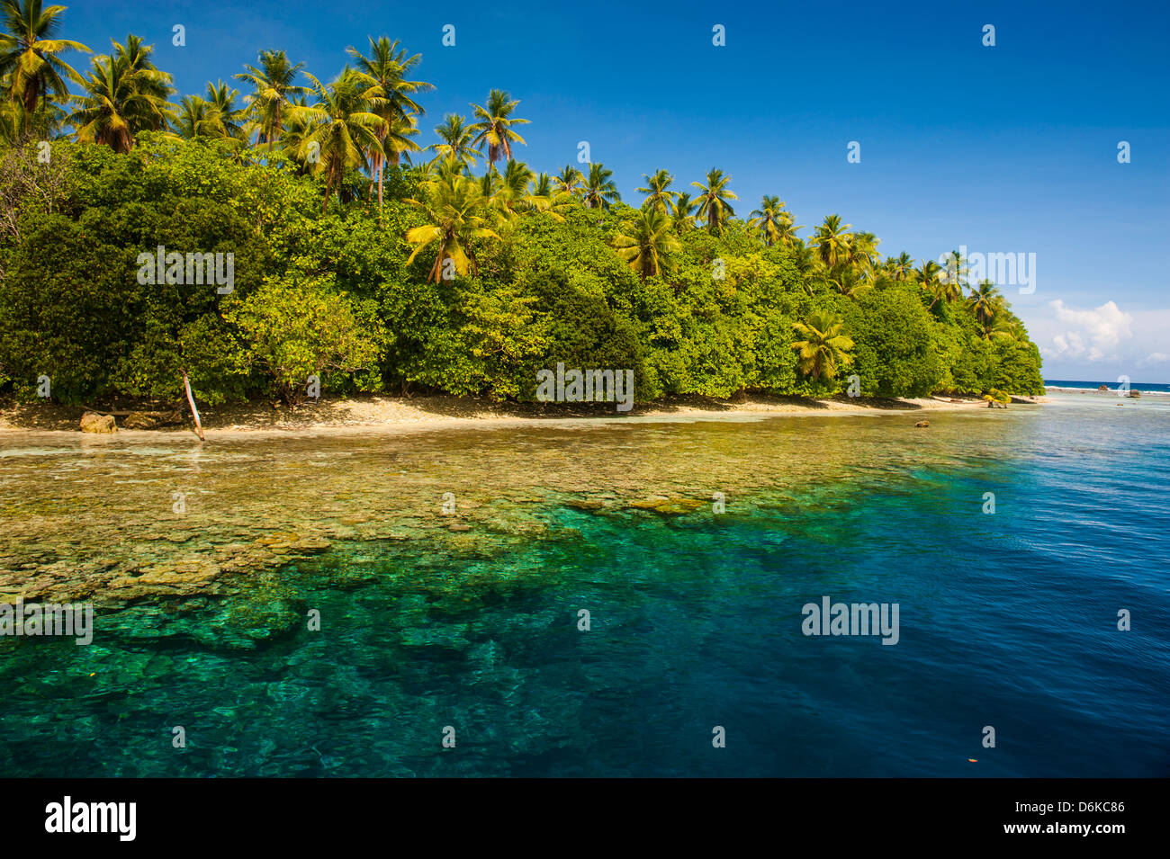 Crystal clear water and an islet in the Ant Atoll, Pohnpei, Micronesia, Pacific Stock Photo