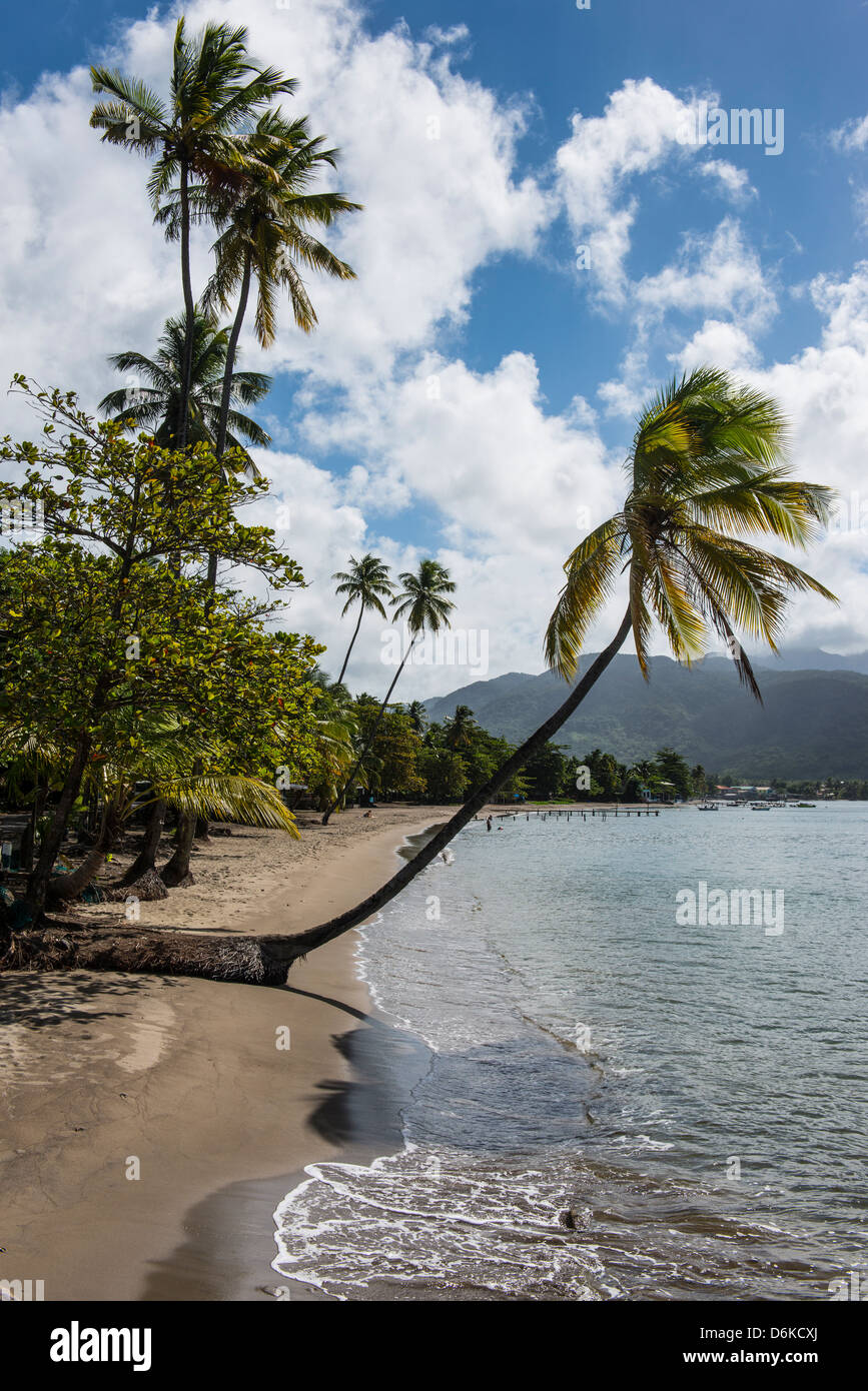 Beach in Prince Rupert Bay, Dominica, West Indies, Caribbean, Central America Stock Photo