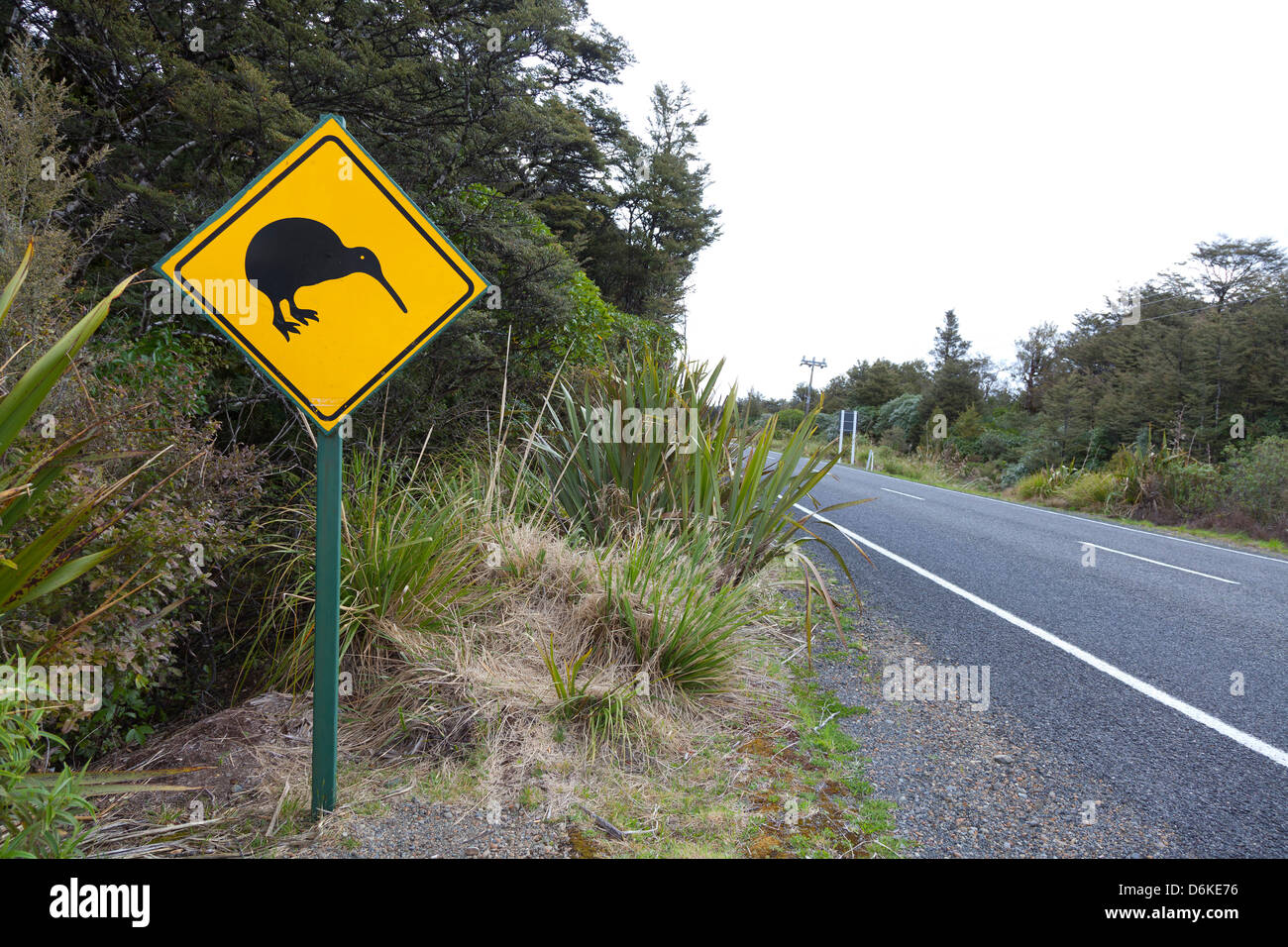 Kiwi sign near the road, Northern Island, New Zealand Stock Photo