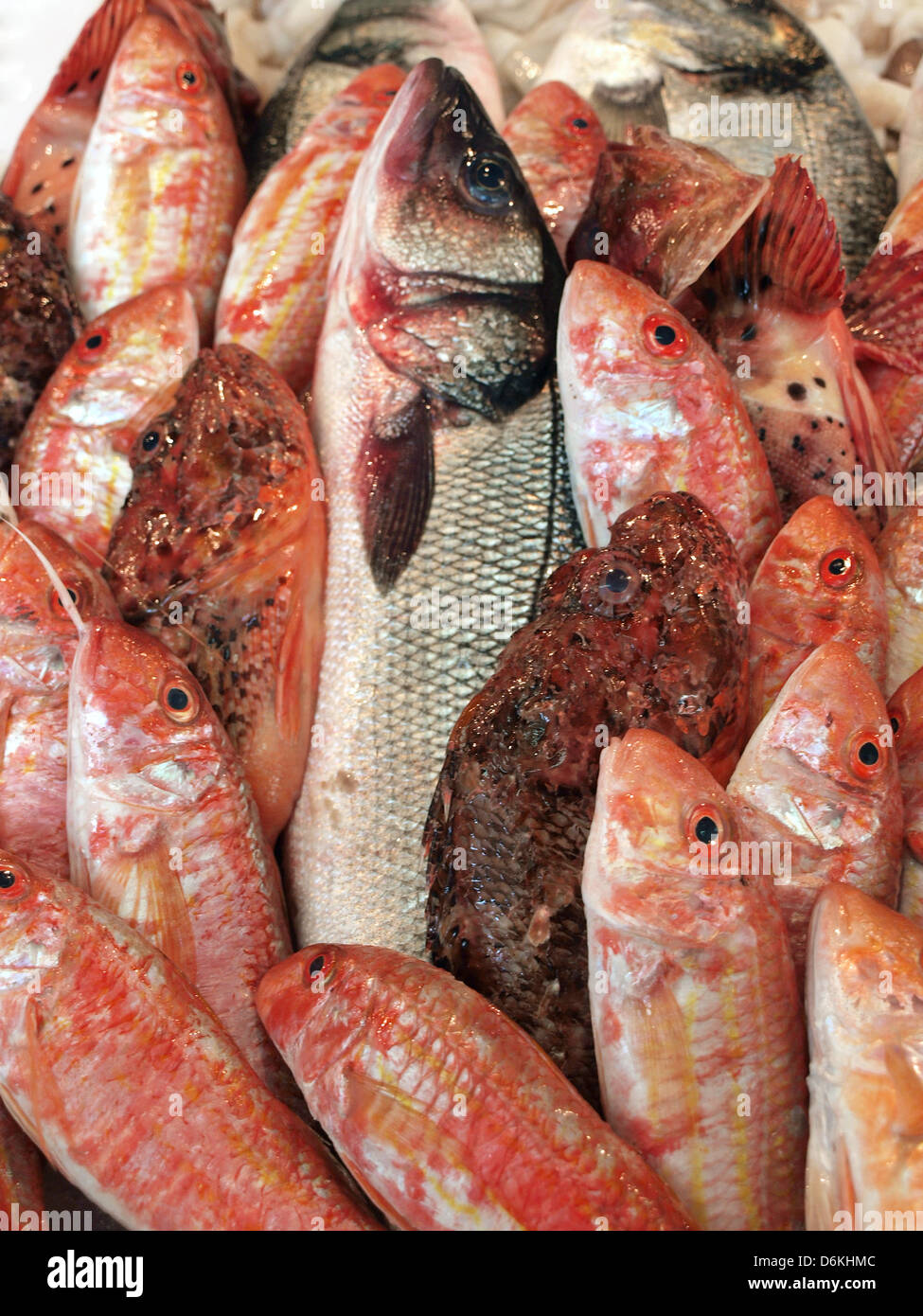 Fish market - mullet, bass and redfish Stock Photo - Alamy