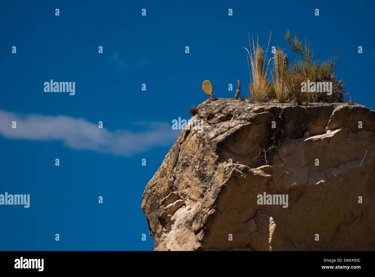 Lapaz hi-res stock photography and images - Alamy