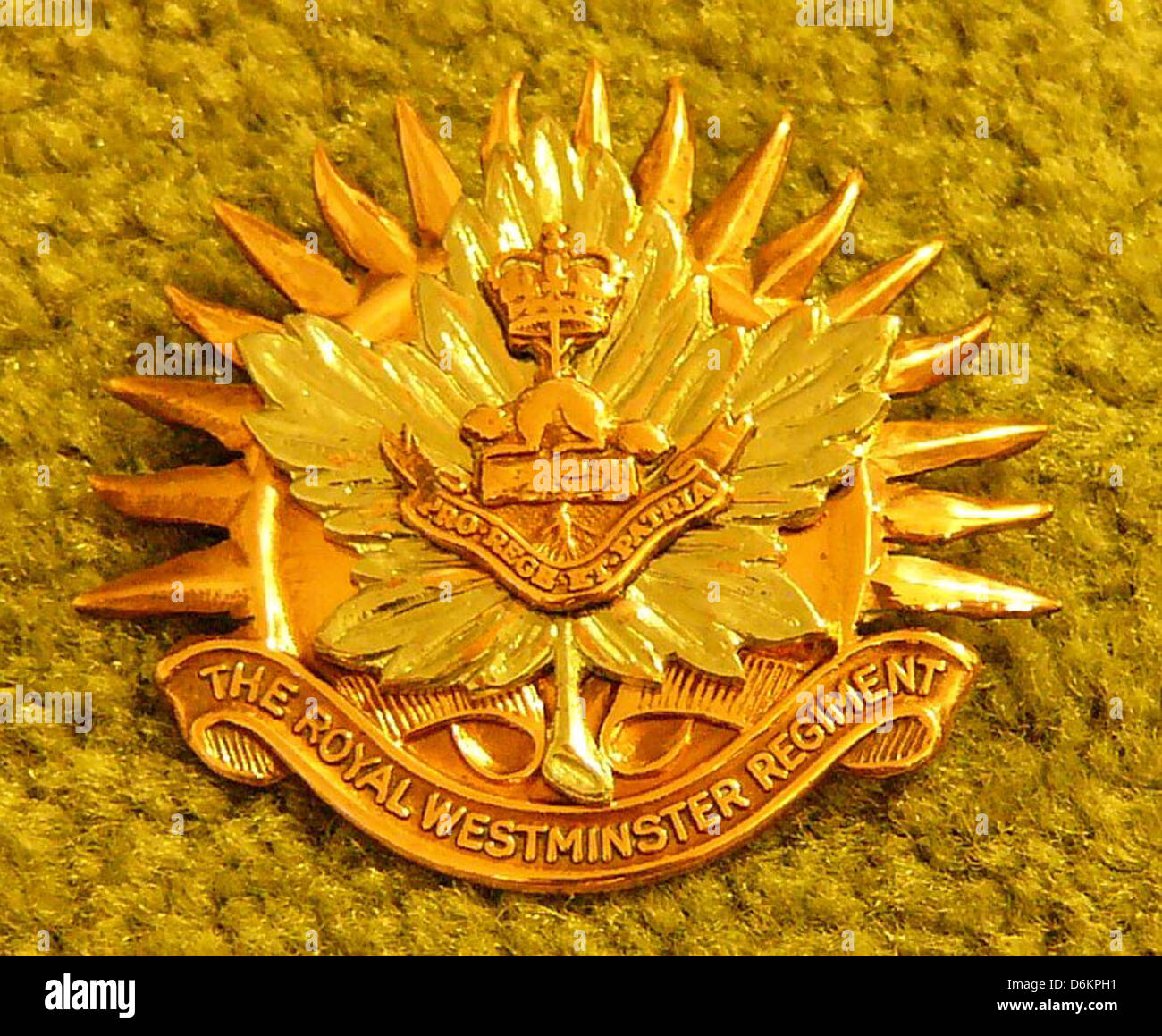 Regiments Design A close-up of the Royal Westminster Regiment Officer's Hat Badge ...