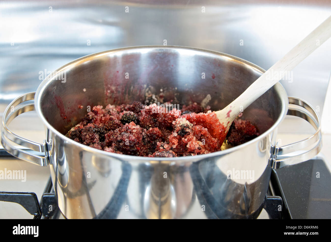 Making Jam: Step 7/10, stirring preserving sugar into stainless steel pan of blackberries and water Stock Photo