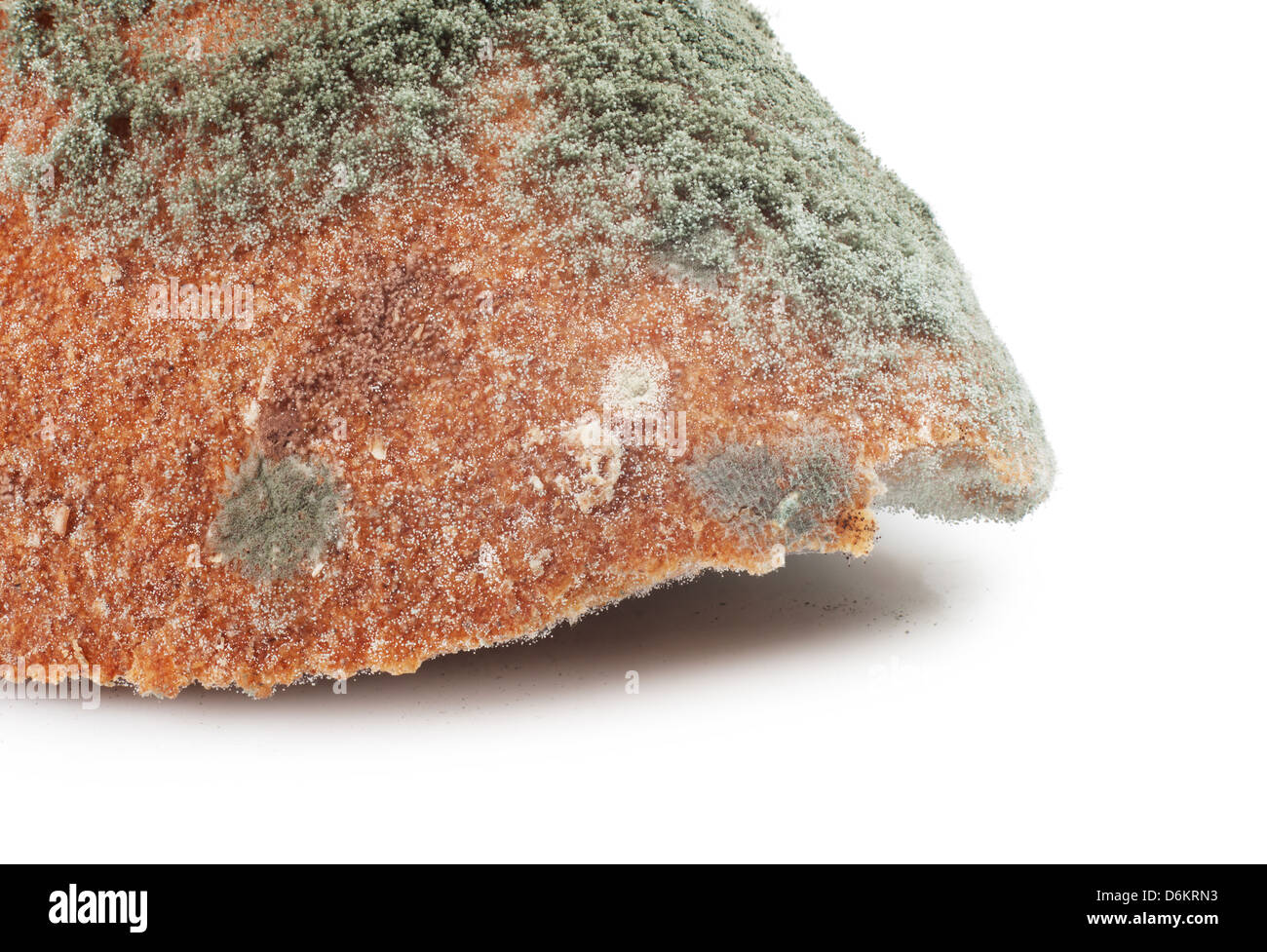 Mouldy bread, isolated on a white background Stock Photo