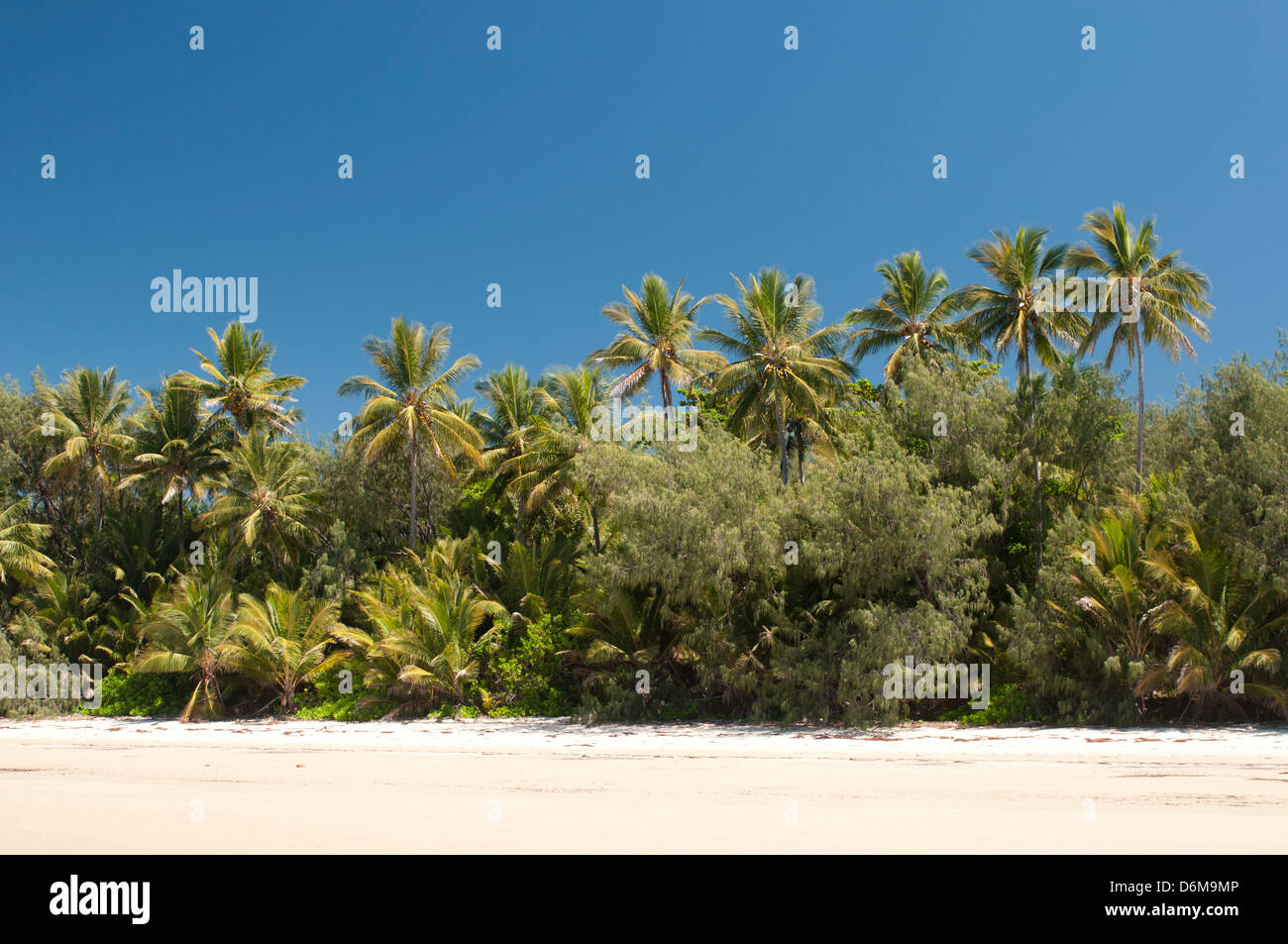 beach at Port Douglas, Far North Queensland, Australia Stock Photo Alamy