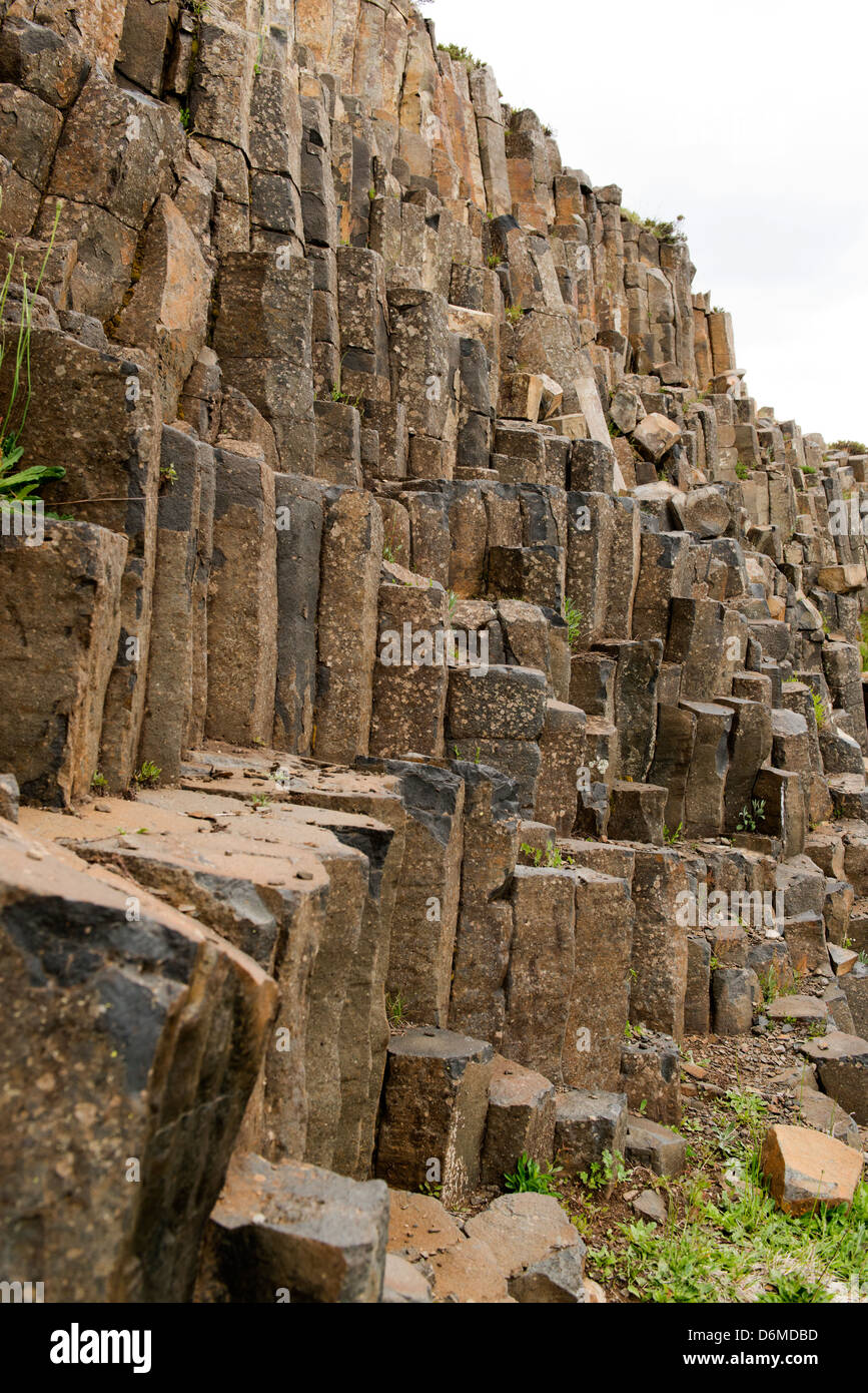 Ruined Castle, an outcrop of basalt columns in the Alpine National Park. Stock Photo
