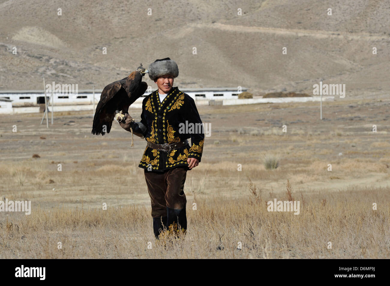 getting ready to take off Stock Photo Alamy
