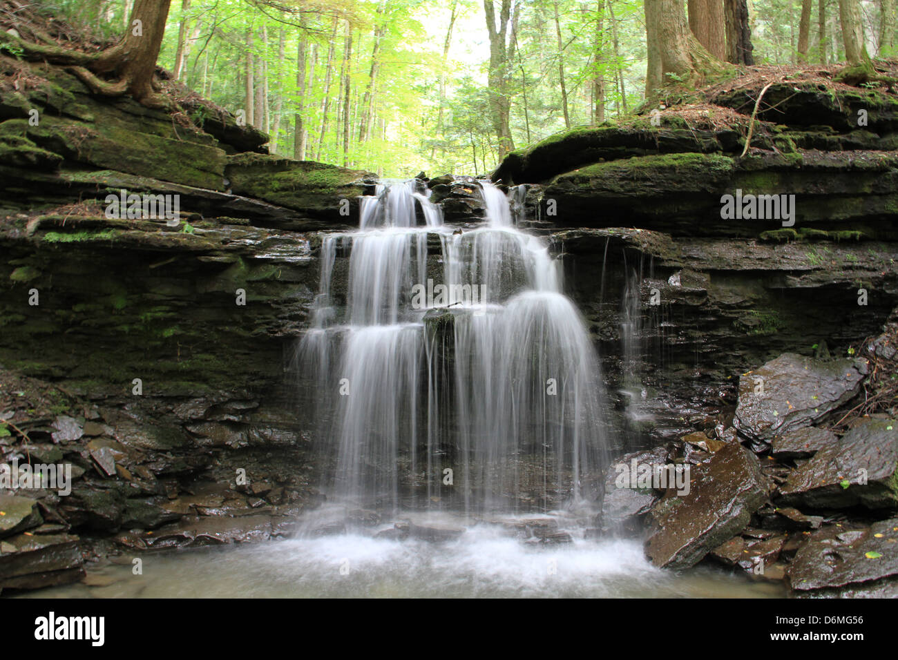 Woodland falls hi-res stock photography and images - Alamy