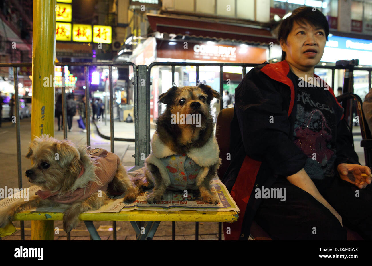 Hong Kong, China, a woman sitting next to their dogs at a bus-stop Stock Photo