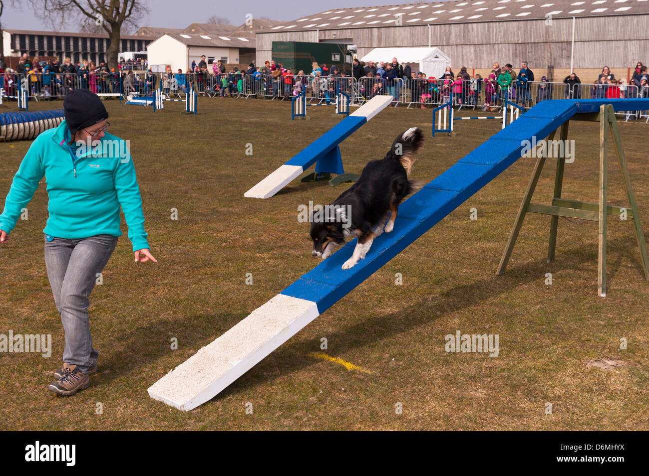 The dog agility course at the Spring Fling In Norwich , Norfolk