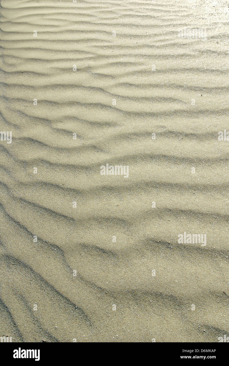 sand ripples in the dawn light; suggesting relax and meditation Stock Photo
