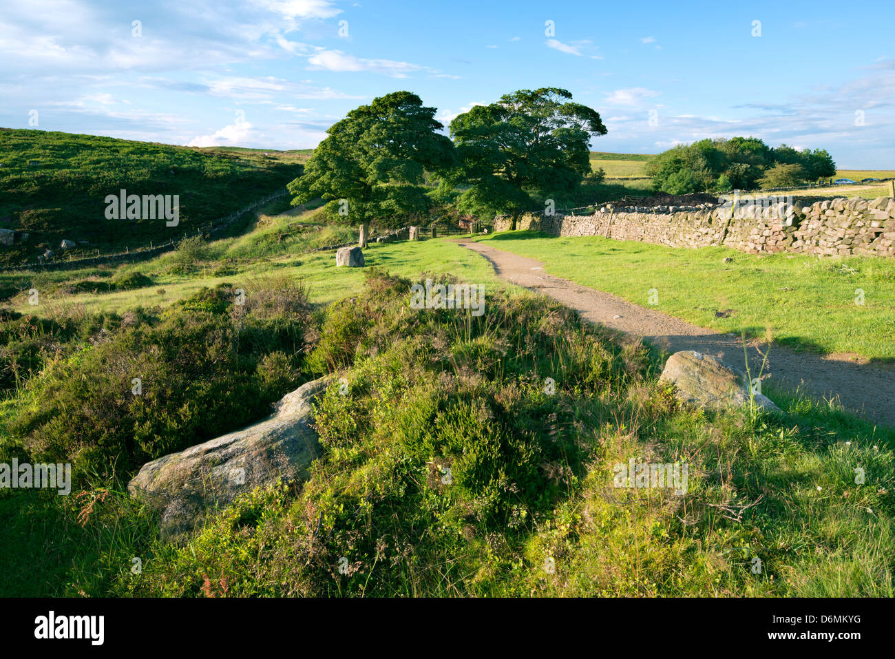 A summery scene near Baslow Edge, Peak district National Park. Stock Photo