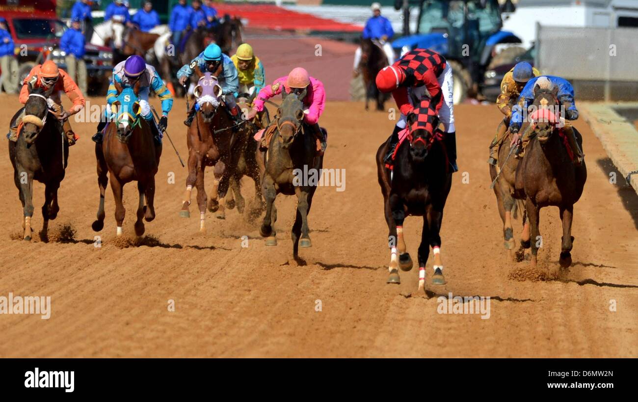 Charles town races hi-res stock photography and images - Alamy