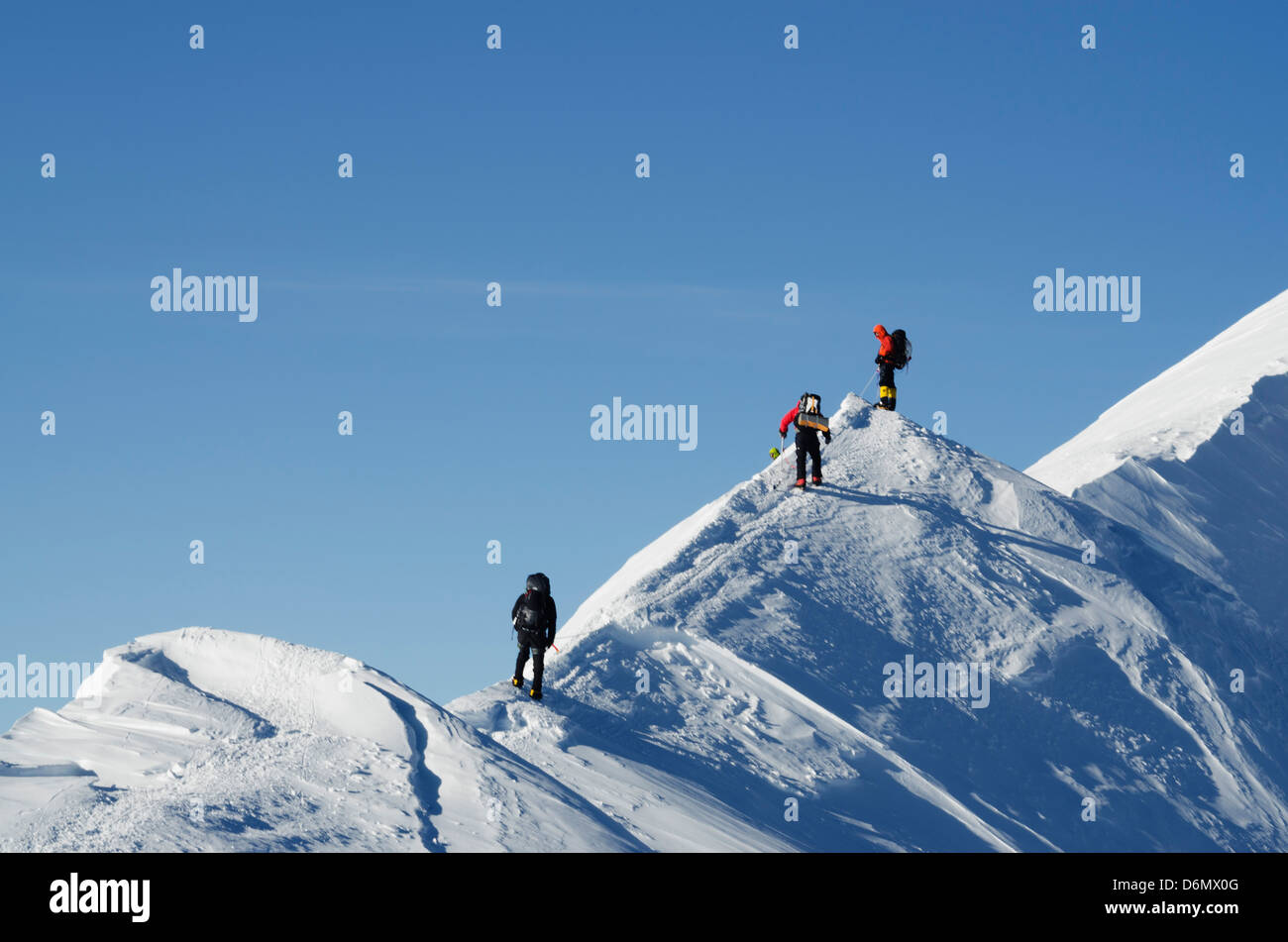 summit ridge, climbing expedition on Mt McKinley 6194m, Denali National