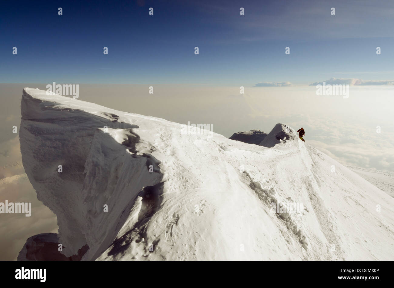 summit ridge, climbing expedition on Mt McKinley 6194m, Denali National