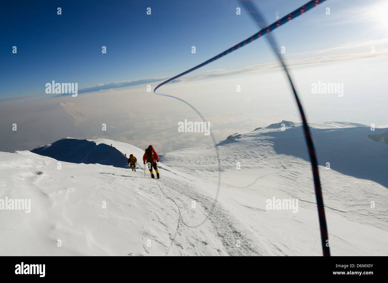 summit ridge, climbing expedition on Mt McKinley 6194m, Denali National Park, Alaska, United States of America, USA Stock Photo