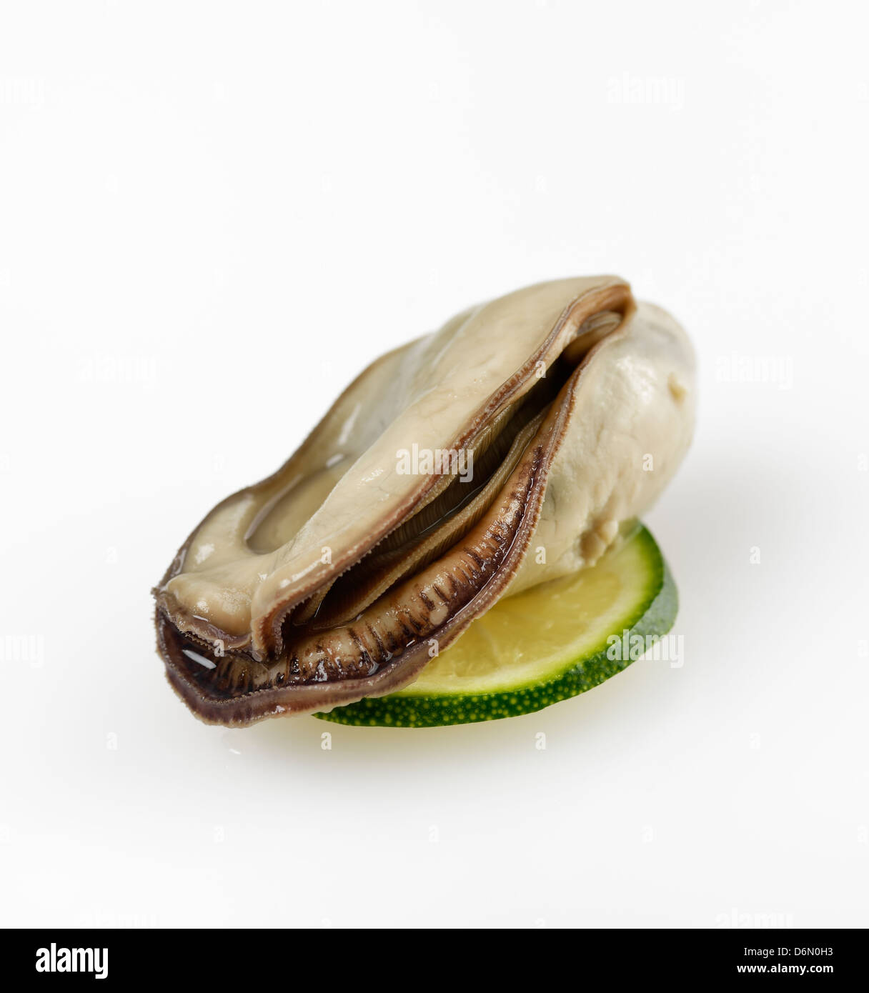 Oyster With Lemon On White Background Stock Photo
