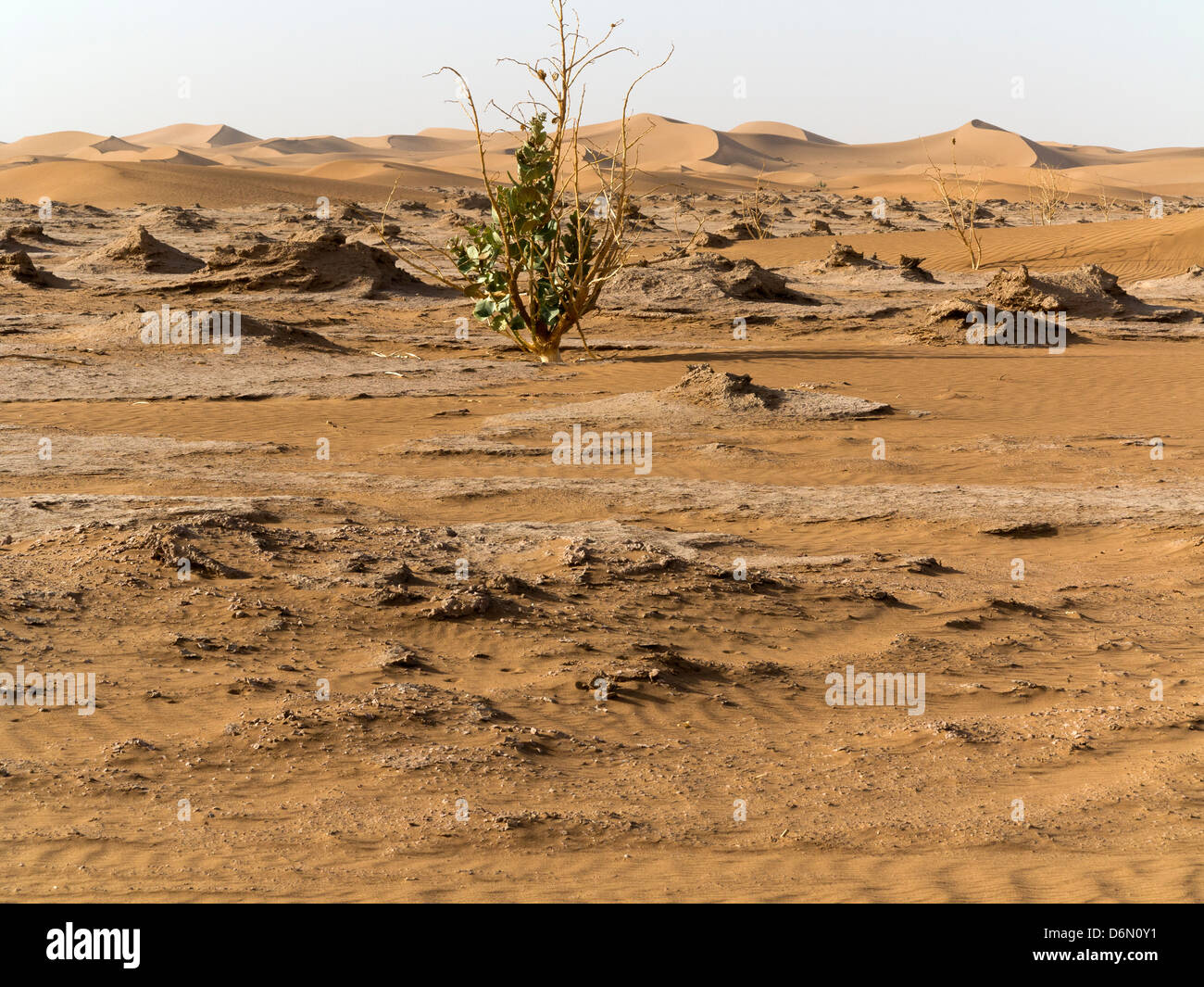 Moroccan landscape - looking across plains in southern Morocco Stock Photo