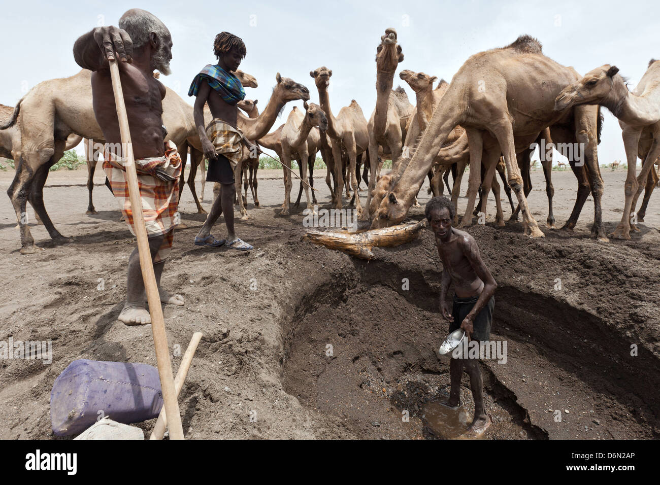 Awash, Ethiopia, nomads dig in a dry river bed with his hand on the water Stock Photo
