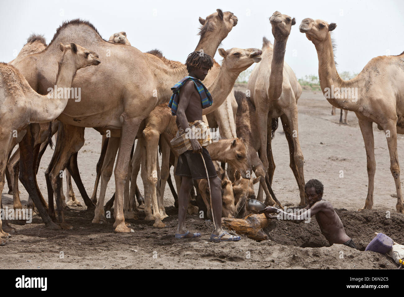 Awash, Ethiopia, nomads dig in a dry river bed with his hand on the water Stock Photo