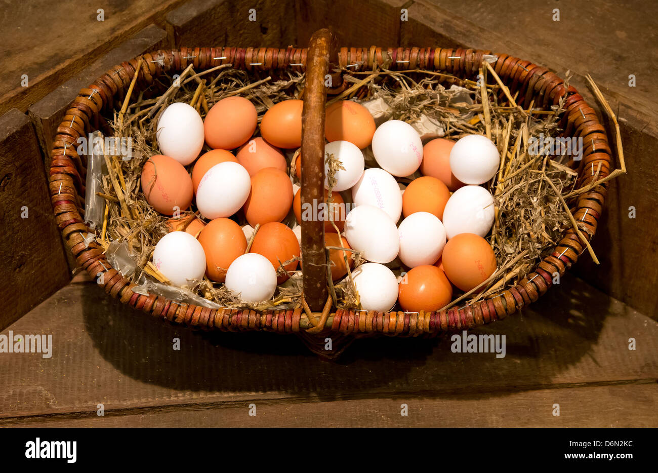 Herten, Germany shopping, eggs from the farm shop Stock Photo